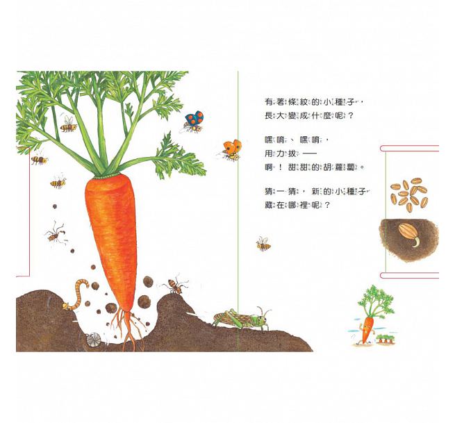 小種子，快長大-蔬菜篇